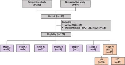 Interferon-gamma release assays for diagnosis of latent TB infection in chronic kidney diseases and dialysis patients